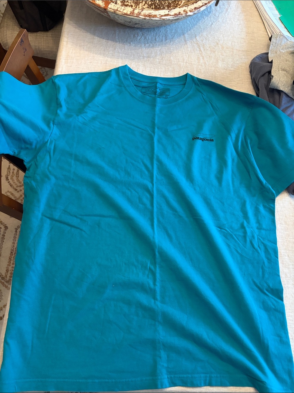 Patagonia Men's Teal Short Sleeve Crew Tee